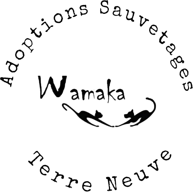 WAMAKA