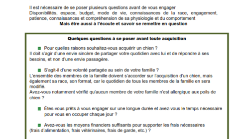 Adopter un de nos Loulous