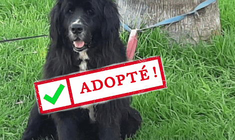 𝐑𝐄𝐁𝐄𝐋𝐋𝐄